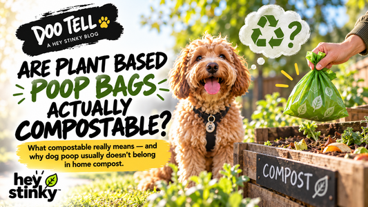 Are Plant Based Poop Bags Actually Compostable?