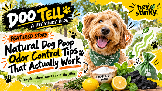 Natural Dog Poop Odor Control Tips That Actually Work