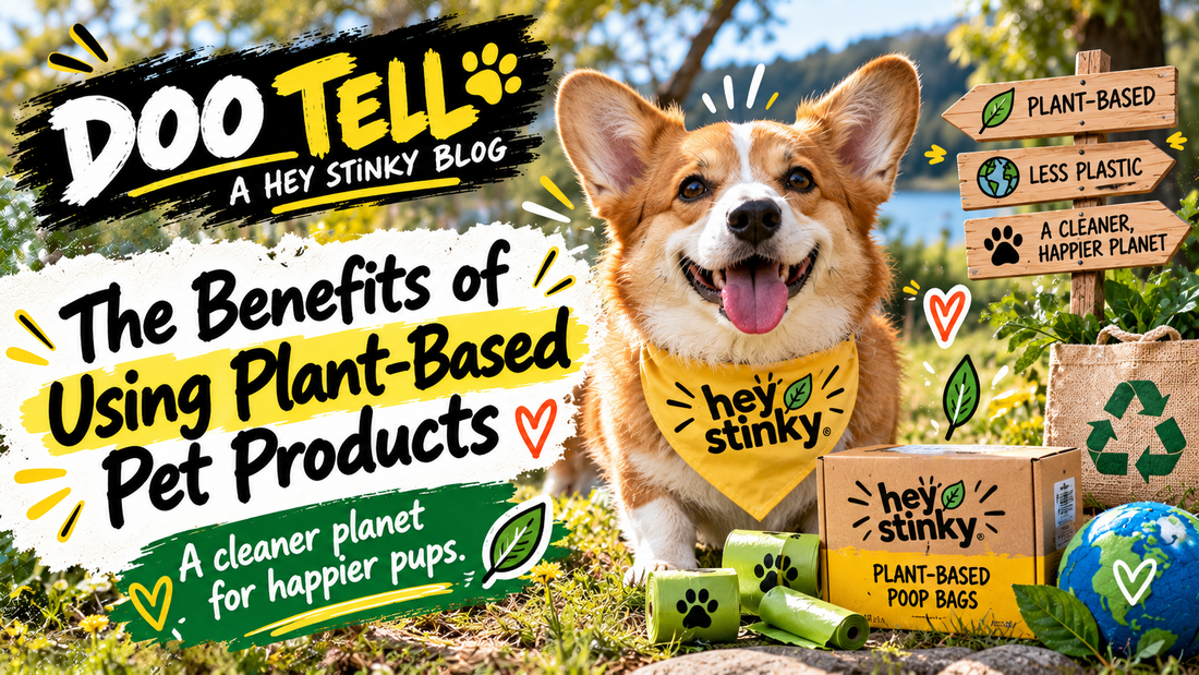 Benefits of Using Plastic-Free Pet Products