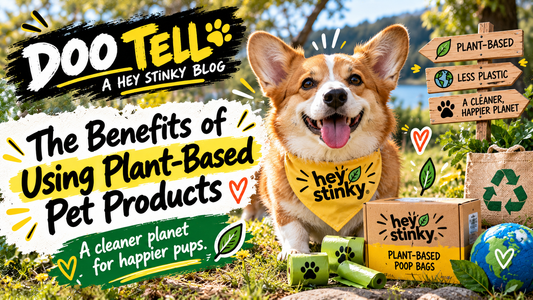 Benefits of Using Plastic-Free Pet Products